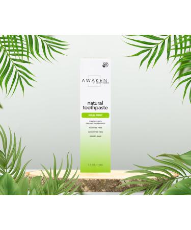 Awaken by Quality Choice Natural Toothpaste Fluoride Free Enamel Safe Sensitivity Free 85% Organic Ingredients Wild Mint 5.5 OZ - Buy Online on GoSupps.com