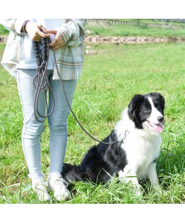 Buy X XBen 30m Drag Line Dog Leash - 8mm Thick Comfortable Padded Handle Perfect for Small & Medium Dogs - Robust Climbing Rope & Carabiner - International Shipping Available - Buy Online on GoSupps.com