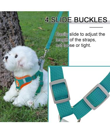 Rennaio No Pull Dog Harness & Leash Set | Adjustable Puppy Harness for Small & Medium Dogs - Ultra Comfortable with 2 Linen Clips (Seeblau XL) - Buy Online on GoSupps.com