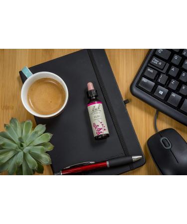 Bach Original Flower Remedies Elm 20ml Dropper Bottle - Vegan Formula for Emotional Wellness - Buy Online on GoSupps.com