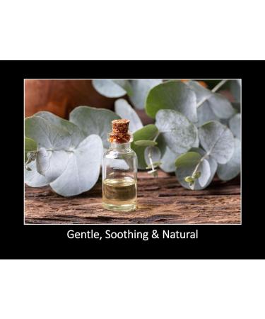 DAANA Eucalyptus Essential Oil : Pure Undiluted (2 Fl Oz) 2 Fl Oz (Pack of 1) - Buy Online on GoSupps.com
