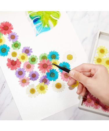 84 Pieces Real Dried Pressed Flowers - Natural Daisy Variety for DIY Crafts & Decorations - 7 Colors - Resin Casting, Jewelry, Candle, Soap Making Supplies - Buy Online on GoSupps.com