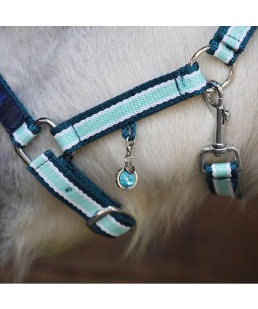 Buy Soulhorse Bridle Trenser & Lucky Charm Keychain for Horses - Turquoise Charm with Artificial Stone - Perfect for Trailer & Pony - Buy Online on GoSupps.com