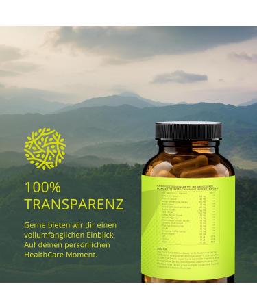 Nature Shape 14 in 1 Metabolism Complex - High-Dose Vegan Diet Support with Chili Ginger Green Coffee Bitter Melon & Garcinia - 90 Capsules for Optimal Performance - Buy Online on GoSupps.com