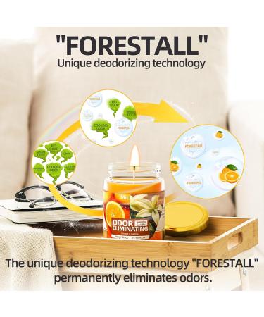 Orange & Vanilla Odor Eliminating Candles - Highly Scented Premium Soy Candles for Home Pet Smoke & Food Smell Removal - Buy Online on GoSupps.com