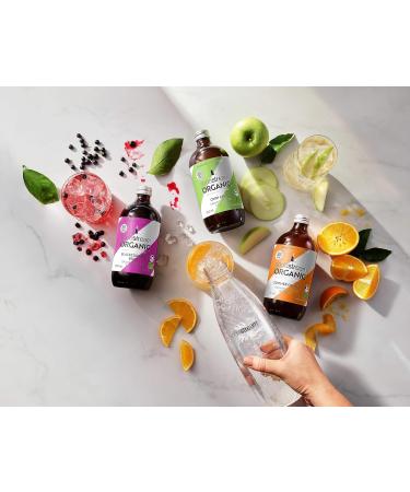 SodaStream Organic Blackcurrant Fizzy Drink Mix - 500ml Bottle | Aspartame-Free, Vegan Syrup Concentrate for Sparkling Water | Low Sugar, Blackcurrant Bliss Flavor - Buy Online on GoSupps.com