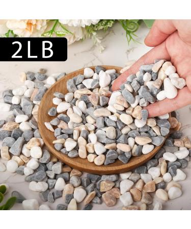 VGOODALL 900g Mixed Colour Gravel Pebbles - 2LB Natural Decorative Pebbles for Succulents, Vases, Aquariums & Outdoor Decor - Buy Online on GoSupps.com