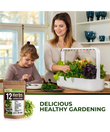 12 Culinary Herb Seeds Variety - USA Grown for Indoor and Outdoor Gardens | Heirloom and Non-GMO Seeds Including Basil, Parsley, Cilantro, Mint, Chives, Thyme, Oregano, Tarragon, Dill, Rosemary, Sage & More - Buy Online on GoSupps.com