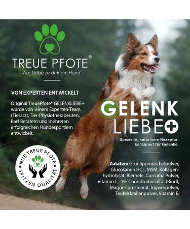 Loyaltypfote Joint Tablets for Dogs - 100 Count Made in Germany | MSM Green Lipped Mussel & Devil's Claw - 6 Month Supply - High Acceptance - Buy Online on GoSupps.com