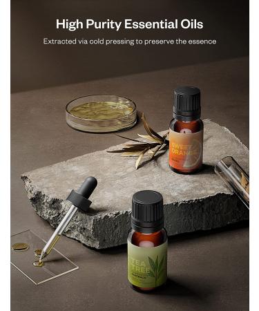 Top 6 Essential Oils Set - Lavender, Eucalyptus, Peppermint, Tea Tree, Lemongrass, Sweet Orange - 10ml Pure Aromatherapy Oils Kit for Skin & Hair Care. Great for Diffusers - 0.34 Fl Oz (Pack of 6) - Buy Online on GoSupps.com