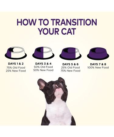 Wellness Complete Health Grain Free Dry Dog Food - Natural Adult Chicken 4lb | No Fillers, Preservatives, or By-Products - Buy Online on GoSupps.com