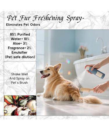 HIQILI 100ML Clary Sage Essential Oil & 150ML Apple Fresh Fragrance Oil for DIY Diffuser - Buy Online on GoSupps.com