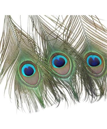 12 PCS Real Natural Peacock Eye Feathers 10-12 inch - DIY Craft & Wedding Decor - Buy Online on GoSupps.com