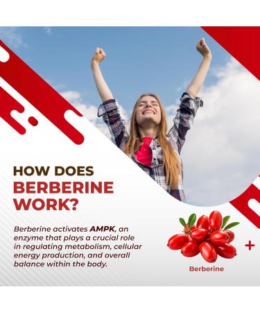 Berberine 14-in-1 Supplement with Ceylon Cinnamon Apple Cider Vinegar Turmeric Bitter Melon Holy Basil Milk Thistle Fenugreek Gymnema Banaba - Made in The USA 150 count (pack of 1) - Buy Online on GoSupps.com