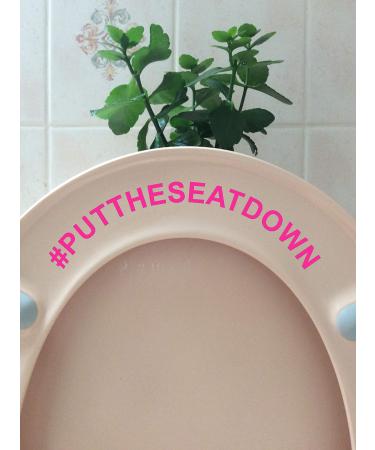 Hashtag Put The Seat Down Novelty Toilet Seat Sticker/Lid Decal Bathroom Decor (Pink)