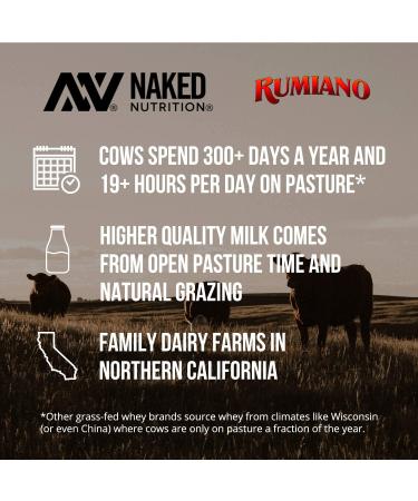 Naked Vanilla Whey Protein 1LB - All Natural Grass Fed Protein Powder with Vanilla & Coconut Sugar - GMO-Free, Soy Free, Gluten Free - Muscle Growth & Recovery - 12 Servings, 1 Pound - Buy Online on GoSupps.com