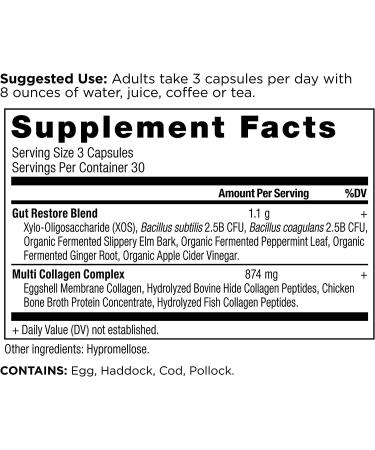 Ancient Nutrition Multi Collagen Gut Restore - 90 Capsules | Dr. Axe - Buy Online on GoSupps.com