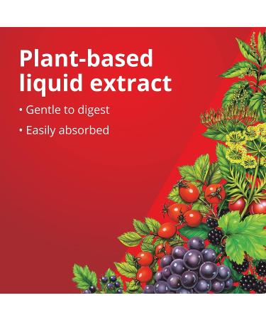 FLORADIX Iron & Herbs Liquid Supplement 17 oz - Natural Iron Formula - Buy Online on GoSupps.com