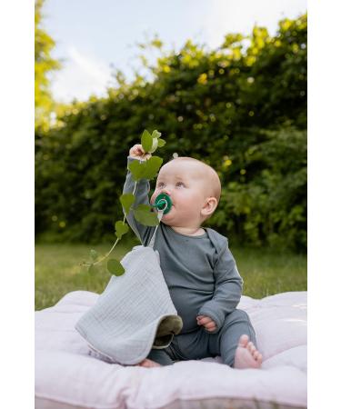 BIBSE de Lux Schnuller 2-Pack - BPA-Free Cherry Shape Nipple Natural Rubber Made in Denmark | Fossil Gray / Mauve (6-18 Months) - Buy Online on GoSupps.com