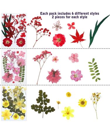 EBOOT 72 Pieces Real Dried Pressed Flowers Set for DIY Crafts & Floral Decor - Mixed Dry Flowers for Candle, Resin, Jewelry & Nail Art - Buy Online on GoSupps.com