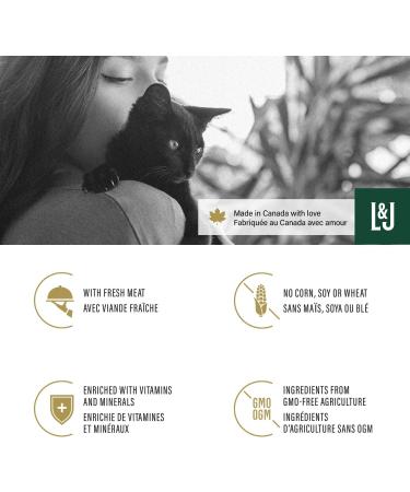 Dry Cat Food 1.6 kg - Salmon Recipe - No Corn or Soy - Protein Rich - Kitten Food - Adult Cat Food by Lily & Jax Salmon 1.6 kg (Pack of 1) - Buy Online on GoSupps.com