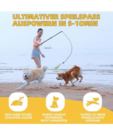 KOXXUD Dog Toys for Big & Small Dogs - Professional Charm by Martin R tter | Ultimate Fun & Physical Utilization - Buy Online on GoSupps.com