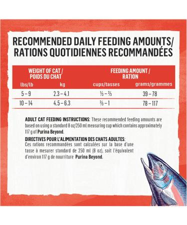 Beyond Simply Natural Dry Cat Food Salmon & Whole Brown Rice - 2.72 kg Bag 2.72 kg (Pack of 1) - Buy Online on GoSupps.com