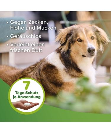 Beaphar Tick & Flea Protection Foam for Dogs & Cats - 150ml - 7 Days Defense Against Ticks Fleas & Mosquitoes - International Shipping Available - Buy Online on GoSupps.com