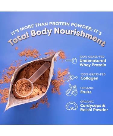 FlavCity Grass Fed Whey Protein Powder - Variety Pack - 25g Protein & 10g Collagen - 5 Single Serve Packets - Made with Organic Reishi & Cordyceps - Gluten Free & No Added Sugars - Buy Online on GoSupps.com
