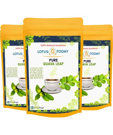  lotustoday Lotustoday Guava Leaf Tea Pure Herbal Guava Leaves Pack of 20 Tea Bags - Buy Online on GoSupps.com