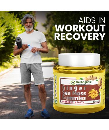 HERBOGANIC Ginger Sea Moss Gummies - Herbal Support for Immune & Digestive Health - Plant-Powered Gluten-Free & Vegan-Friendly - 60 Count Ginger 60 Count (Pack of 1) - Buy Online on GoSupps.com