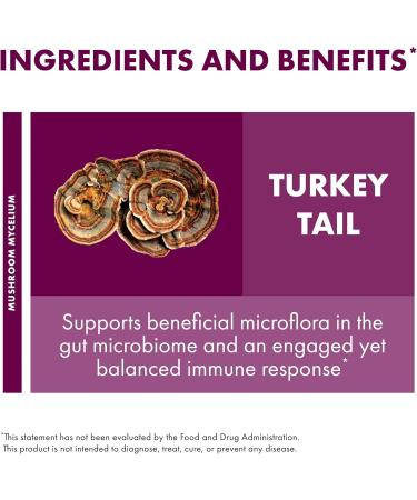 Host Defense Turkey Tail Mushroom Powder - Digestive Health & Immune Response Support Supplement - Mushroom Supplement for Gastrointestinal & Gut Microbiome Support - 7 oz (133 Servings)* 7 Ounce (Pack of 1) - Buy Online on GoSupps.com