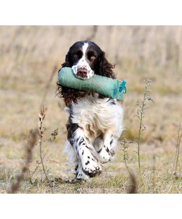 Buy Romneys Standard Dummy 500g Dog Retriever - Durable & Floating Green Toy for Training & Fetch | International Shipping Available - Buy Online on GoSupps.com