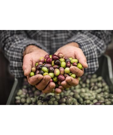 Tapenades Olives noires Fran aise Nyons -180 g x 12 - LE BRIN D'OLIVIER - Buy Online on GoSupps.com