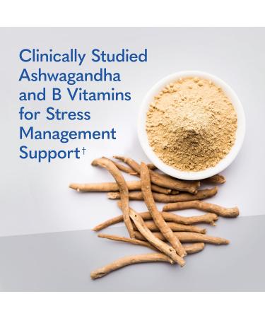 Garden of Life Dr. Formulated Multi+ Stress & Mood Fermented Liposomal Multivitamin + Ashwagandha B Vitamins & Probiotics - 60 Capsules Whole Food Vitamin & Mineral Supplement - Buy Online on GoSupps.com