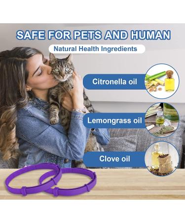 2 Pack Cat Flea Collar | 8 Months Protection | Repels Fleas & Ticks | Safe & Effective Prevention - Buy Online on GoSupps.com
