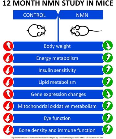 MAAC10 NMN 250mg Capsules - Genuine NAD+ Supplement, Stabilized Form, 30 Capsules - Buy Online on GoSupps.com