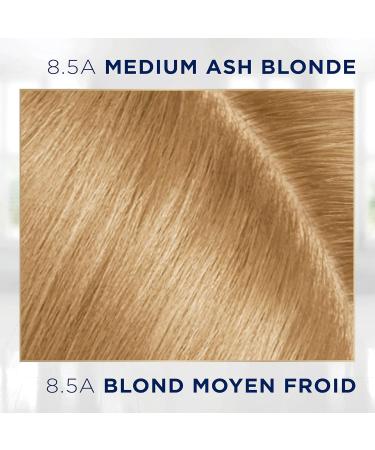 Clairol Root Touch-Up Permanent Hair Dye 8.5A Medium Champagne Blonde Hair Color 1 Count - Buy Online on GoSupps.com