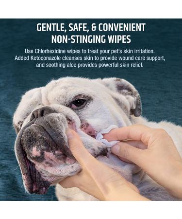 Pet MD Chlorhexidine Wipes with Ketoconazole and Aloe - 50 Count for Cats and Dogs - Buy Online on GoSupps.com