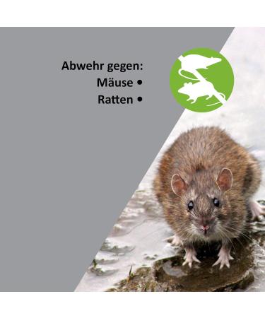 ISOTRONIC Ultrasonic Mouse & Rat Defense - 4-Piece Chemical-Free Pest Control in Wooden Housing for Home Basement & Garden - Buy Online on GoSupps.com