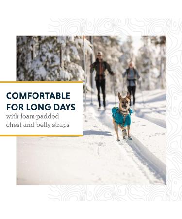 Luffwear Drinking Bag for Large Dogs - 2x600ml Water Bottles Adjustable Size L/XL Red Currant - Perfect for Active Breeds - Buy Online on GoSupps.com