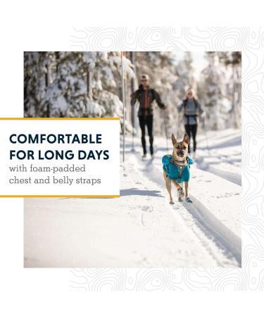 Luffwear Drinking Bag for Dogs - Adjustable Pack for Medium Breeds | Includes 2 x 600ml Water Bottles | Red Currant - Buy Online on GoSupps.com