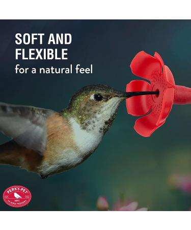 Perky-Pet 91RF Replacement Red Hollyhock Flower Ports & Perches-6 Pk - Buy Online on GoSupps.com