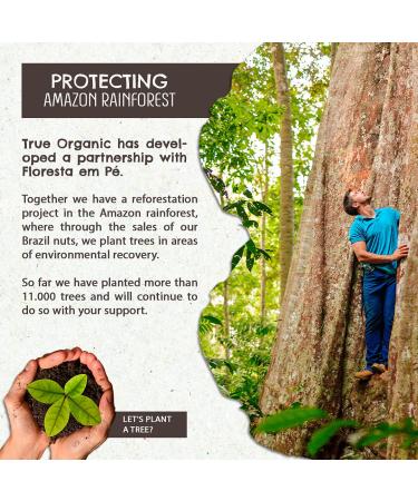 Organic Premium Brazil Nuts (1 LB) - Medium Size | Raw Whole Unsalted | Non-GMO & Kosher | Sustainably Harvested | 1 Pound Pack - Buy Online on GoSupps.com