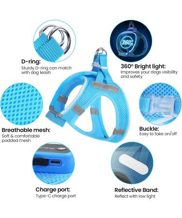 Buy PCEOTLLAR Dog Harness - LED Reflective & Breathable Light Dishes for Small to Medium Dogs - Blue - Buy Online on GoSupps.com