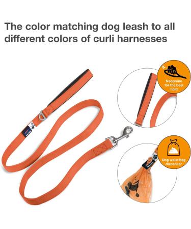 Buy Basic Orange Leash for Dogs | Durable & Stylish - International Shipping Available - Buy Online on GoSupps.com