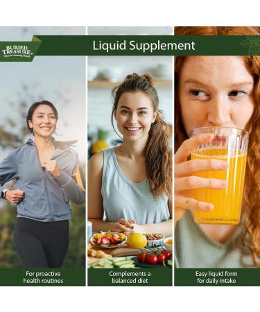 Buried Treasures Aller Ease - 16 fl oz. Liquid Supplement w/ Quercetin, Bromelain, Mullein, Supports Immune, Sinus Comfort, Non-Drowsy Herbal Formula - Buy Online on GoSupps.com