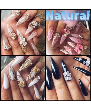 240pc Stiletto Gel Nail Tips - Long Clear Press-On Acrylic Nails | 12 Sizes Full Cover XL Soft Gel Extensions - Buy Online on GoSupps.com