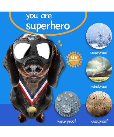 Large Breed Dog Goggles - Windproof & Snowproof Eye Protection for Outdoor Activities (Large) - Buy Online on GoSupps.com