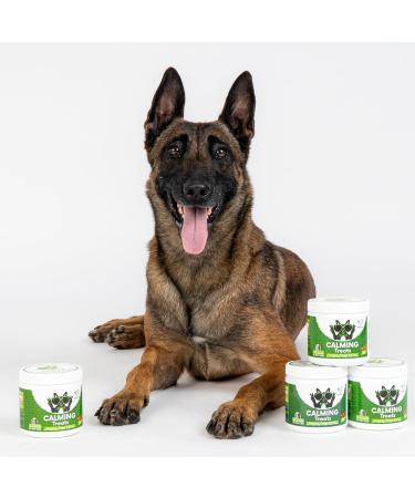 NutriPaw Calming Treats For Dogs - Reduce Stress Fear Separation Anxiety Barking Hyperactivity Reactivity Aggression Travel Issues - Relaxation without Drowsiness dogs Single Pack - Buy Online on GoSupps.com